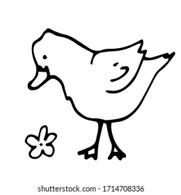 icono de contorno vectorial de un pato dibujado a mano. aislado en un fondo blanco. aves de corral domésticas.