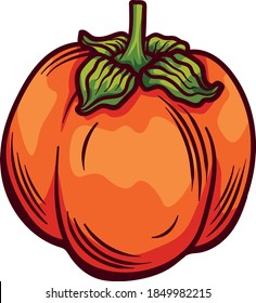 Vector doodle persimmon. Hand drawn doodle persimmon fruit illustration isolated on white background. Food icon,
