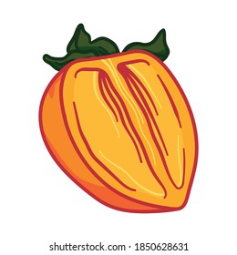 Vector doodle persimmon. Hand drawn doodle persimmon fruit illustration isolated on white background. Food icon,
