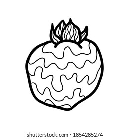 Vector doodle persimmon. Hand drawn doodle persimmon fruit illustration isolated on white background. Food icon,