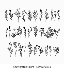 Vector doodle plants and flowers. Isolated over white background. Decorative elements