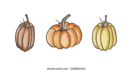 Vector doodle pumpkin. Thanksgivings and Halloween decoration. Pumpkins forms