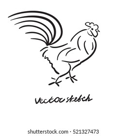 vector doodle rooster, symbol for 2017 new year
