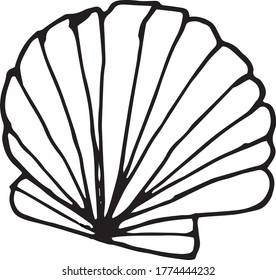 Vector doodle of sea shel.