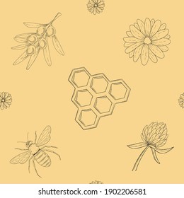 Vector doodle seamless pattern with honey bee, sea ​​buckthorn, flowers and honeycomb. Monochrome hand drawing style.