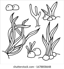 Vector doodle seaweeds and rocks and corals isolated on white background.