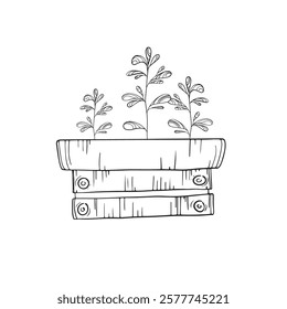 Vector doodle seedling box with plants
