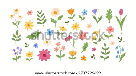 Vector doodle set of different flowers