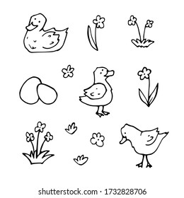 vector Doodle set with drawings of domestic farm birds. icons of ducks, ducklings, eggs, flowers. isolated on a white background.