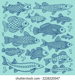 Vector doodle set of fish of different shapes with various hand-drawn patterns, isolated. Marine animals, sea, travel.