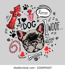 Vector doodle set. French bulldog, bone, inscriptions, sausages, fire hydrant, dog muzzle and marks on a gray background. Hand-drawn illustration.