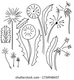 Vector Doodle Set Illustrationsleuchter mit Samen für die Konstruktion