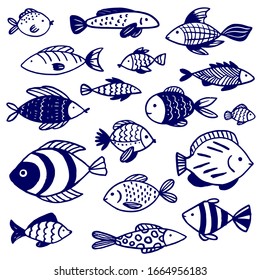 Vector doodle set of marine fish of different shapes with various hand-drawn patterns, isolated on white background. Illustration for design on the theme of marine animals, sea, travel.