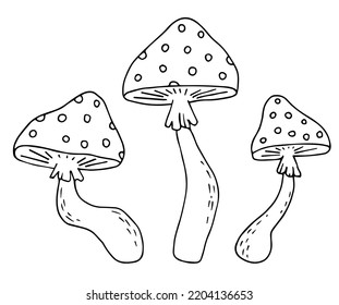 Vector doodle set of mushrooms-fly agaric. Halloween Poisonous mushroom. Mushrooms for witch magic. Vector illustration, doodle.