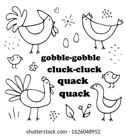 Vector doodle set with poultry; isolated hand drawn hen, cock, chicken, turkey, goose on white background.