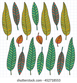 Vector doodle set with tropical plants