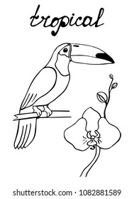 Vector doodle sketch image of toucan silhouette and orchid isolated on white background. Tropical jungle design nature sign. Symbol of the tropical climate. Hand drawn monochrome illustration.