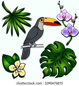 Vector doodle sketch image of toucan and green leaves of tropical plant isolated on white background. Tropical jungle design nature sign. Symbol of the tropical climate. Hand drawn color illustration.