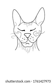 Gato de garrapatas vectoriales. Graciosa, linda, ilustración a mano para afiches, pancartas, impresos, decoración, sala de juegos para niños o tarjeta de saludo.