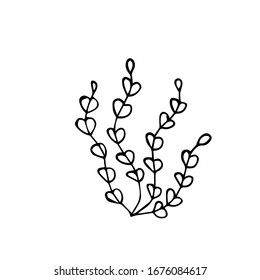 Vector. Doodle style coral seaweed. It grows in the sea, ocean, aquarium. It has a meandering appearance. Shelter for fish and marine inhabitants. Children's coloring. To design magazine, travel sites