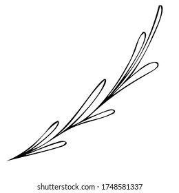 vector doodle style element, drawing, cute twig with leaves, coloring book