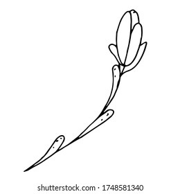 vector doodle style element, drawing, cute twig with leaves, coloring book