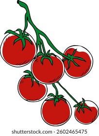 Vector doodle style hand drawn branch of cherry tomatoes isolated on a white background