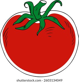 Vector doodle style hand drawn tomato isolated on a white background