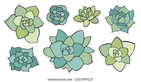 Doodle vectorial Conjunto suculento, hierba del Desierto dibujada a mano, aislado sobre pegatinas florales blancas