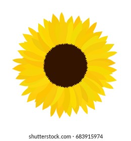 Vector doodle sunflower illustration. Simple hand drawn icon of flower with yellow petals isolated on white background. Flat cartoon style.
