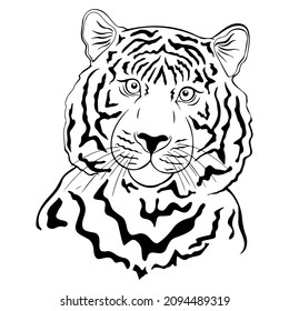 vector doodle tiger, cute tiger