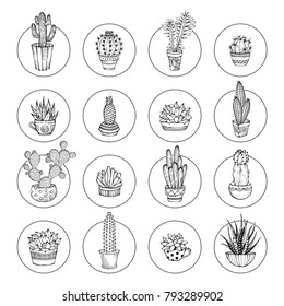 Vector doodles cacti and succulent icon set. Various cacti in flowerpots and cups. Linear icons isolated on white background. Round shapes. Can be used to colouring book for adults.