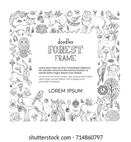 Vector doodles forest frame. Set of hand-drawn wild animals and woodland elements. Cute moose, raccoon, hare, fox, deer, owl, squirrel, bug, wolf. Autumn leaves, birch, acorn, ladybug, mushrooms, rain