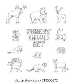 Vector doodles set of wild forest animals. Hand-drawn hedgehog, deer, fox, hare, squirrel, moose, snail, wolf, beaver, bear and raccoon. Can be used in colouring book for children.