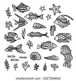 Vector doodles underwater icons set. Set of fish, sea plants and algae, shells and sea stars, jellyfish isolated on white background. Can be used in colouring book for adults and children.