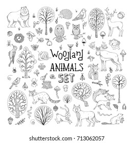 Vector Doodles Woodland Animals Set. Hand-drawn Collection For Children Colouring Books, Invitations, Cards And Posters. Deer, Fox, Hedgehog, Owl, Hare, Raccoon, Snail, Squirrel, Bee, Mushroom, Tree.