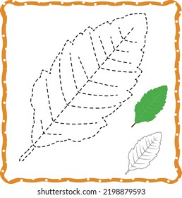 vector dot leaf, line exercise for kids. autumn leaf
