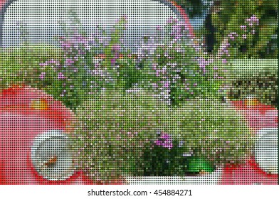 vector dot , Old car and fields of flowers in garden
