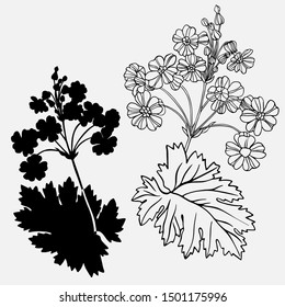 Vector dotanical illustration with flower . Vector design In black and white style. Elements isolated on background.Can be used for printing on paper, stickers, badges, bijouterie, cards, textiles