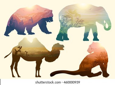 Vector Doble exposición. Oso, elefante, camello y leopardo, concepto de vida silvestre