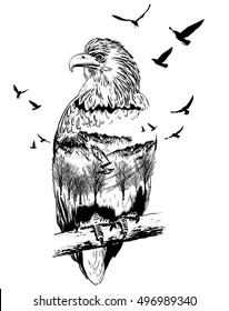 Vector Double exposure, eagle for your design, wildlife concept