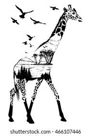 Vector Double exposure, giraffe for your design, wildlife concept
