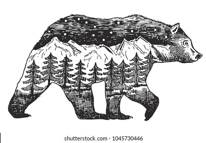 Vector Double exposure, Hand drawn bear for your design, wildlife concept