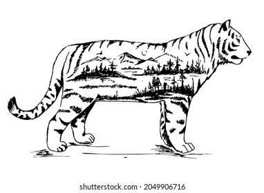 Vector Double exposure, Hand drawn Tiger for your design, wildlife concept