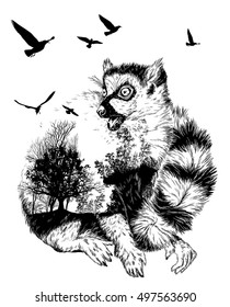 Vector Double exposure, Hand drawn Ring-tailed lemur for your design, wildlife concept 