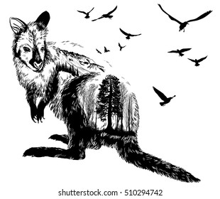 Vector Double exposure, kangaroo for your design, wildlife concept