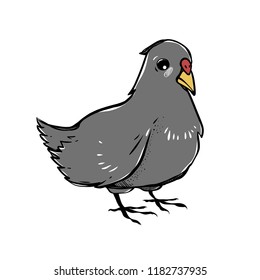 Vector dove isolated on white background. The bird clipart. 