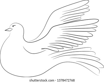 vector dove of peace