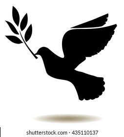 vector dove silhouette with olive branch