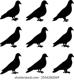 vector, dove, silhouette, pigeon, illustration, icon, peace, fly, animal, bird, isolated, design, symbol, wing, graphic, freedom, element, sign, hope, doodle, feather, love, hand, sketch, flight, draw